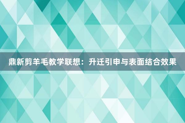 鼎新剪羊毛教学联想：升迁引申与表面结合效果